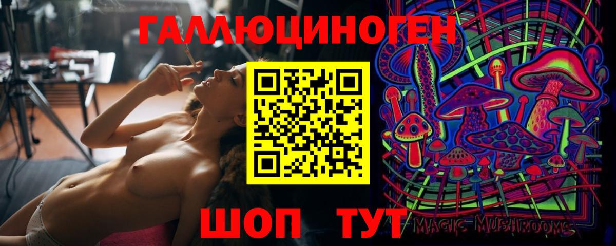 Галлюциногенные грибы Psilocybine cubensis Советская Гавань
