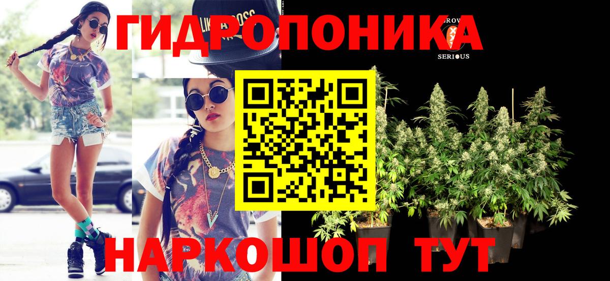 Бошки марихуана THC 21% Советская Гавань